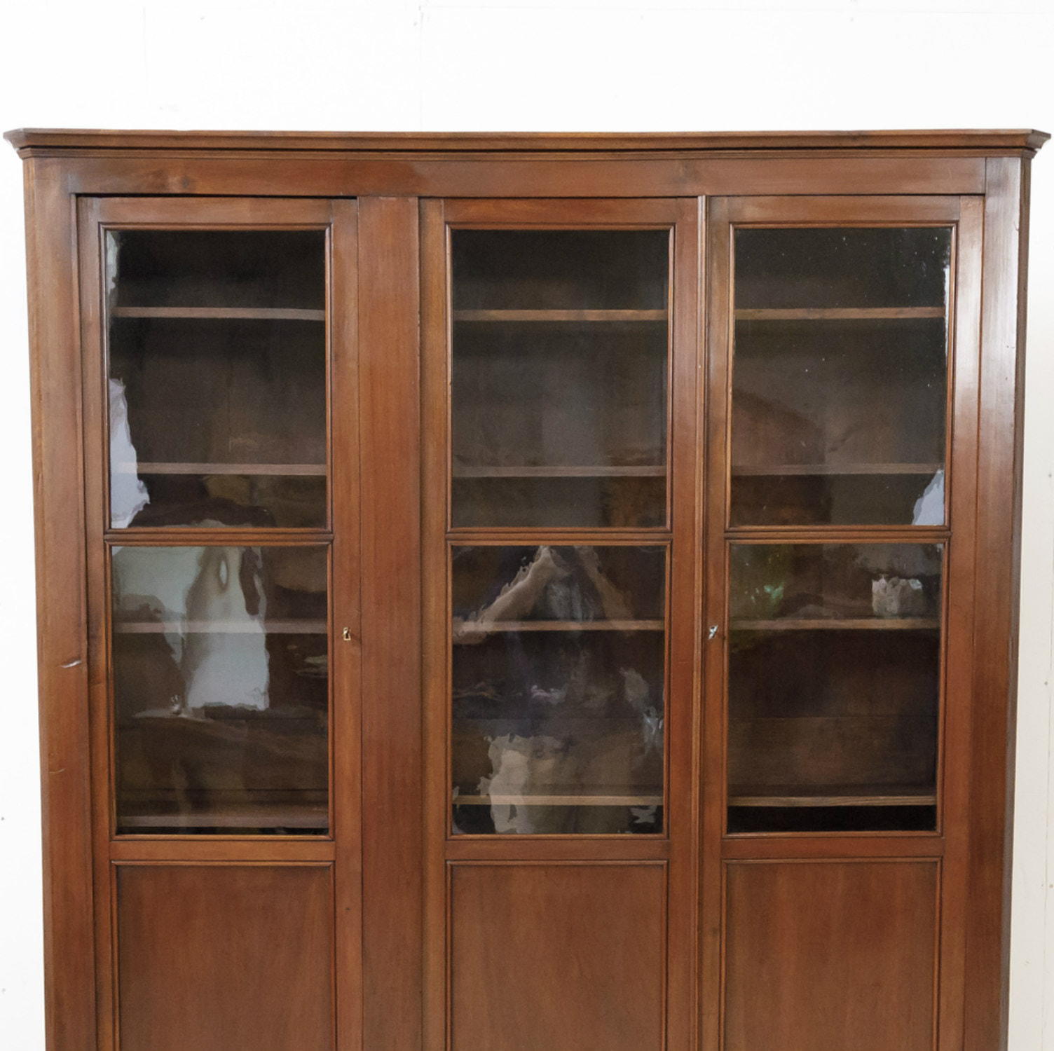 19th Century French Louis Philippe Style Walnut Bibliotheque or Bookcase